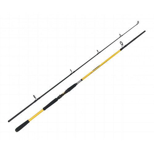 Zfish Prut Kodiak 2,40m 100-250g