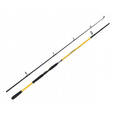 Zfish Prut Kodiak 2,40m 100-250g